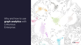 Graph analytics in Linkurious Enterprise | PDF
