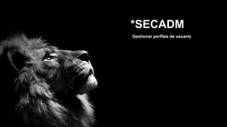 *SECADM
Gestionar perfiles de usuario
 