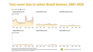 Tree cover loss in select Brazil biomes, 2001-2025
 