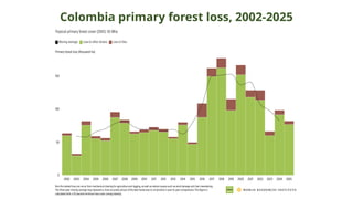 Colombia primary forest loss, 2002-2025
 