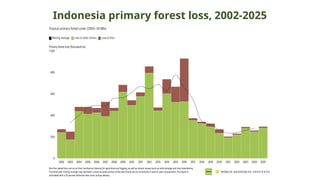 Indonesia primary forest loss, 2002-2025
 