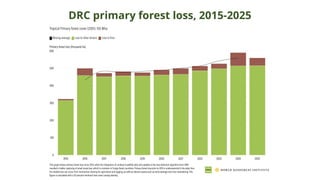 DRC primary forest loss, 2015-2025
 
