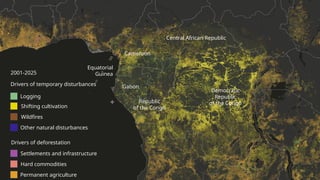 Central African Republic
Cameroon
Gabon
Equatorial
Guinea
Democratic
Republic
of the Congo
Republic
of the Congo
Permanent agriculture
Hard commodities
Settlements and infrastructure
Drivers of deforestation
Other natural disturbances
Wildfires
Shifting cultivation
Logging
Drivers of temporary disturbances
2001-2025
 