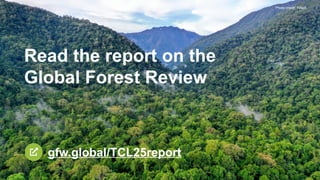 Read the report on the
Global Forest Review
gfw.global/TCL25report
Photo credit: HAkA
 