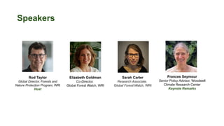 Speakers
Elizabeth Goldman
Co-Director,
Global Forest Watch, WRI
Frances Seymour
Senior Policy Advisor, Woodwell
Climate Research Center
Keynote Remarks
Sarah Carter
Research Associate,
Global Forest Watch, WRI
Rod Taylor
Global Director, Forests and
Nature Protection Program, WRI
Host
 