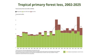 Tropical primary forest loss, 2002-2025
 