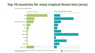 Top 10 countries for most tropical forest loss (area)
 