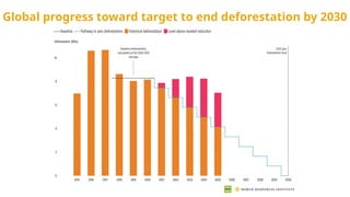 Global progress toward target to end deforestation by 2030
 