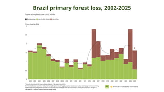 Brazil primary forest loss, 2002-2025
 