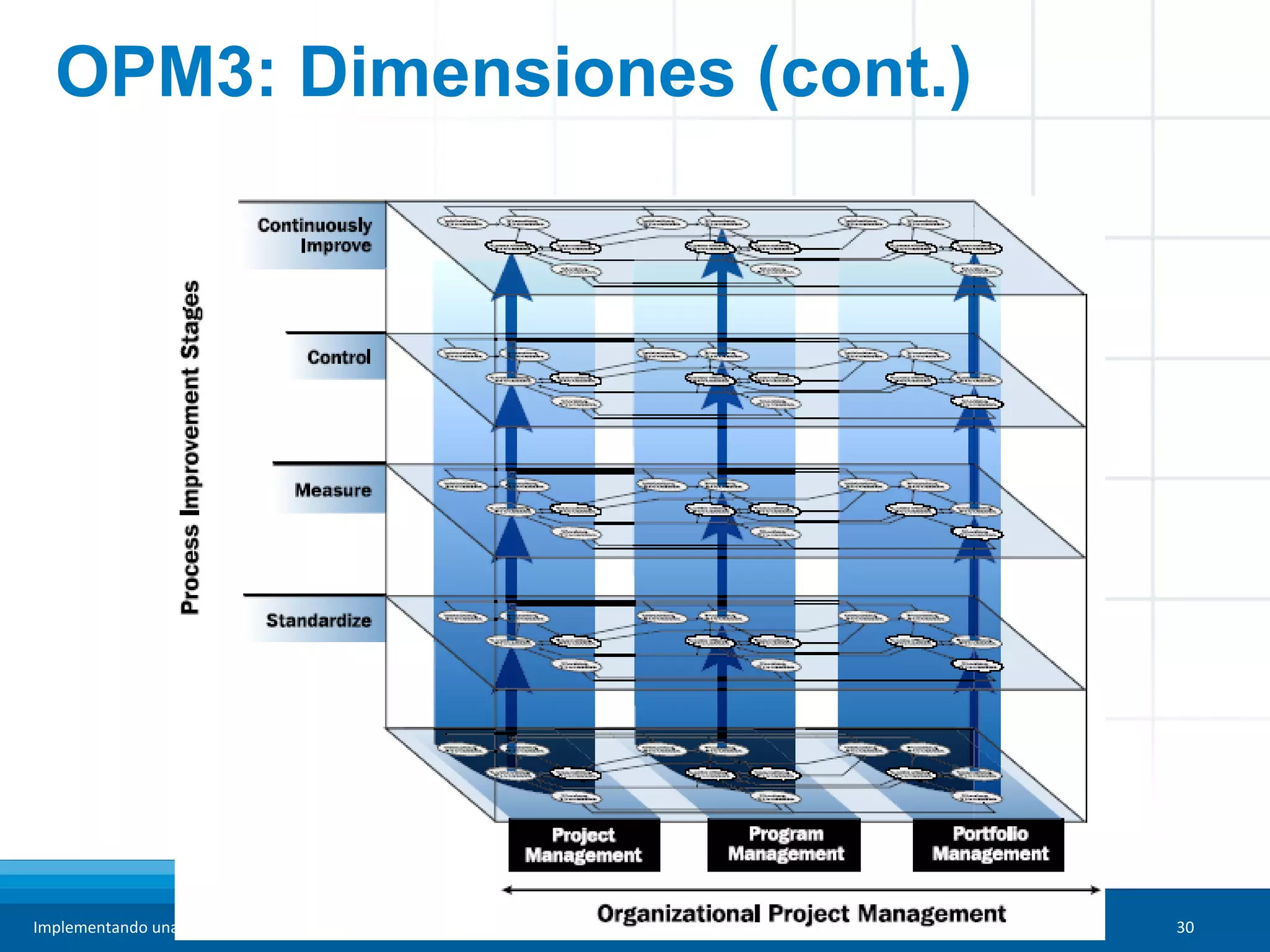 Implementando una PMO. Fase de diagnóstico usando OPM3. © Luis Reyes, PMP 30
OPM3: Dimensiones (cont.)
 