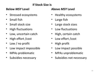 Below MSY Level
• Stressed ecosystems
• Small fish
• Small stock size
• High fluctuations
• Low, uncertain catch
• High effort /cost
• Low / no profit
• Low impact impossible
• MPAs problematic
• Subsidies necessary
Above MSY Level
• Healthy ecosystems
• Large fish
• Large stock sizes
• Low fluctuations
• High, certain catch
• Low effort /cost
• High profit
• Low impact possible
• MPAs unproblematic
• Subsidies not necessary
14
If Stock Size is
 