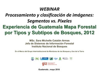 MSc. Sara Michelle Catalán Armas
Jefa de Sistemas de Información Forestal
Instituto Nacional de Bosques
En el Marco del Grupo Interinstitucional de Monitoreo de los Bosques y Uso de la Tierra
WEBINAR
Procesamiento y clasificación de imágenes:
Segmentos vs. Pixeles
Experiencia de Guatemala Mapa Forestal
por Tipos y Subtipos de Bosques, 2012
Guatemala , mayo 2016
 