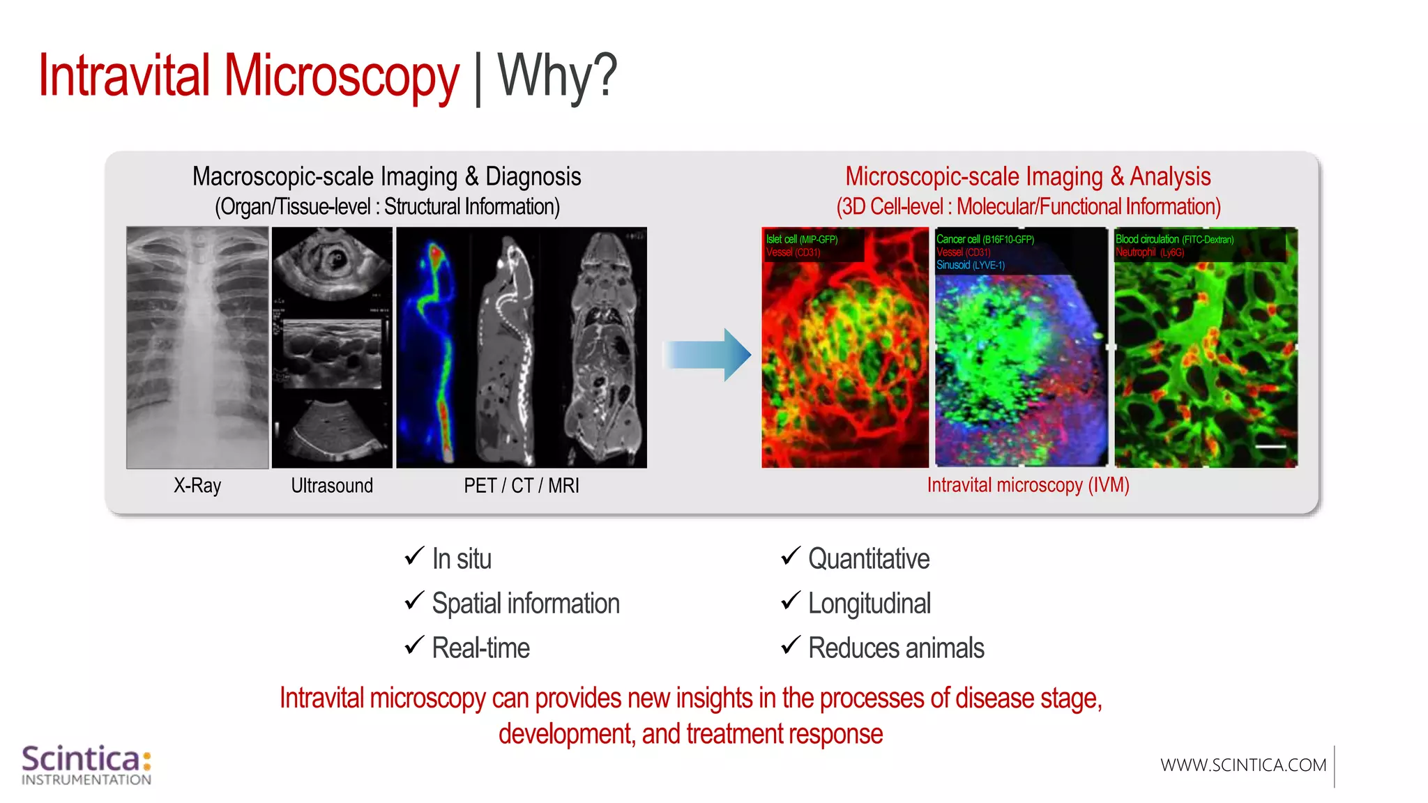 WWW.SCINTICA.COM
Intravital Microscopy | Why?
Macroscopic-scale Imaging & Diagnosis
(Organ/Tissue-level :StructuralInformation)
Microscopic-scale Imaging & Analysis
(3D Cell-level: Molecular/FunctionalInformation)
Intravital microscopy (IVM)
Islet cell (MIP-GFP)
Vessel (CD31)
PET / CT / MRI
X-Ray Ultrasound
Cancercell (B16F10-GFP)
Vessel (CD31)
Sinusoid (LYVE-1)
Blood circulation (FITC-Dextran)
Neutrophil (Ly6G)
disease stage,
development, and treatment response
 In situ
 Spatial information
 Real-time
 Quantitative
 Longitudinal
 Reduces animals
 