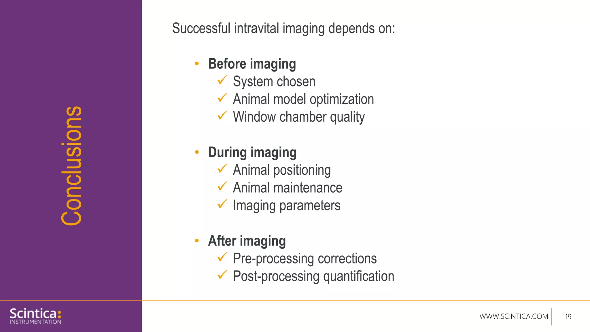 WWW.SCINTICA.COM 19
Conclusions
Successful intravital imaging depends on:
• Before imaging
 System chosen
 Animal model optimization
 Window chamber quality
• During imaging
 Animal positioning
 Animal maintenance
 Imaging parameters
• After imaging
 Pre-processing corrections
 Post-processing quantification
 