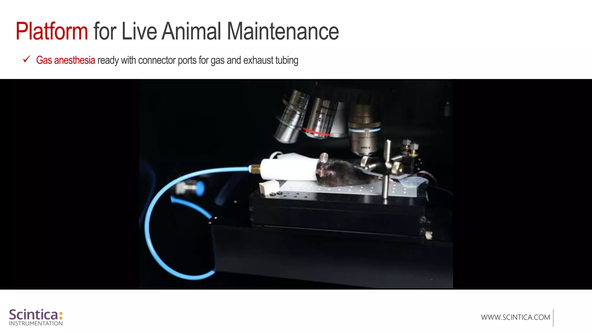 WWW.SCINTICA.COM
Platform for Live Animal Maintenance
 Gas anesthesia ready with connector ports for gas and exhaust tubing
 