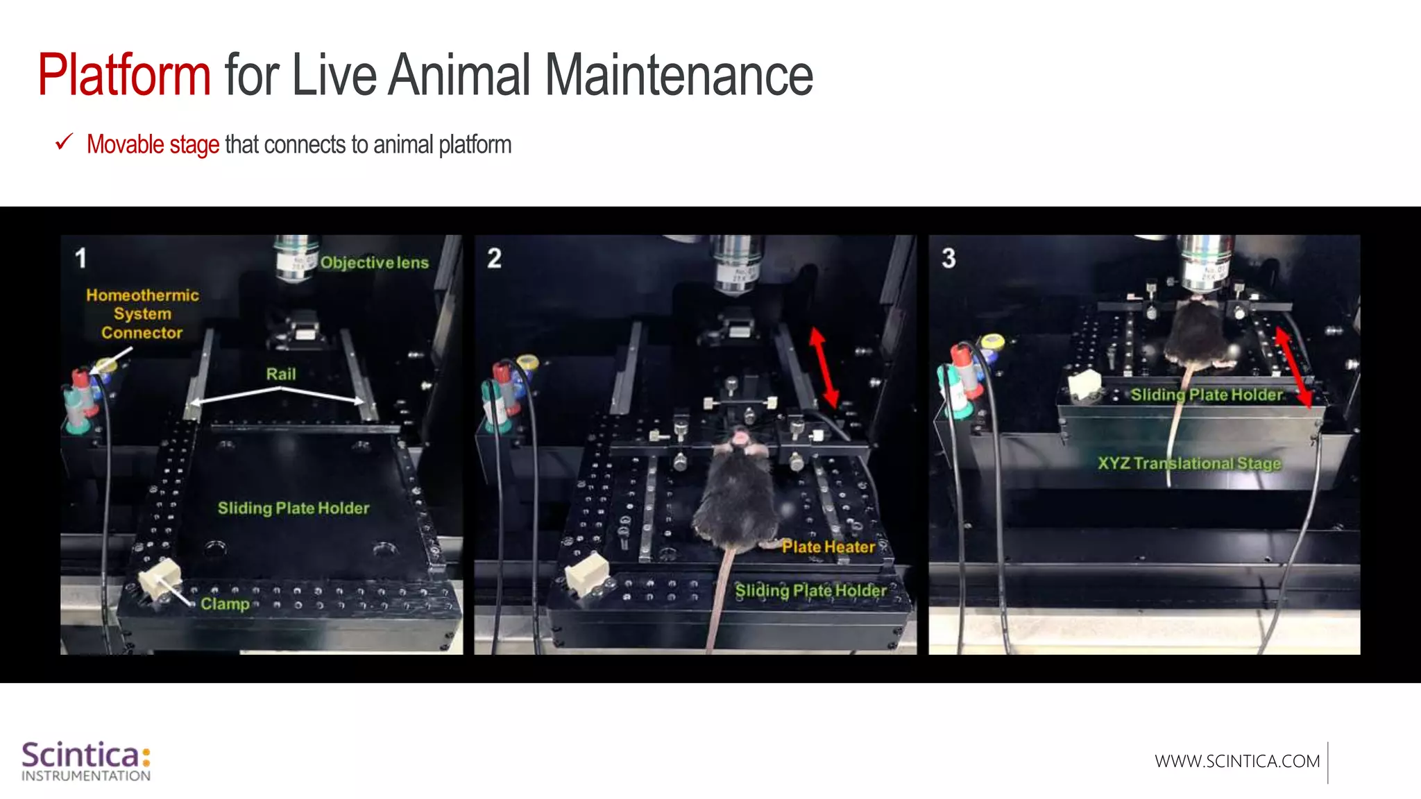 WWW.SCINTICA.COM
Platform for Live Animal Maintenance
 Movable stage that connects to animal platform
 
