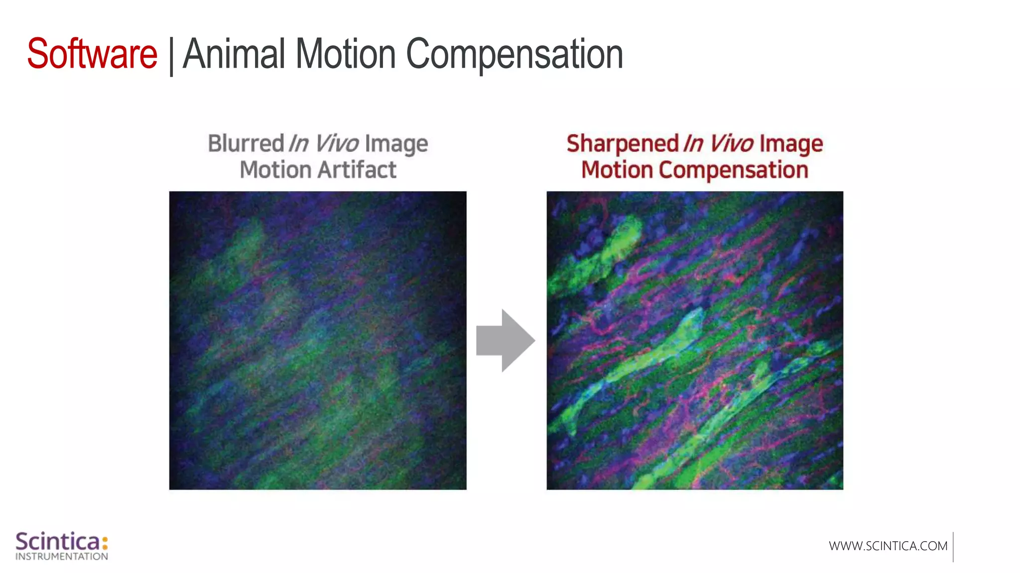 WWW.SCINTICA.COM
Software | Animal Motion Compensation
 