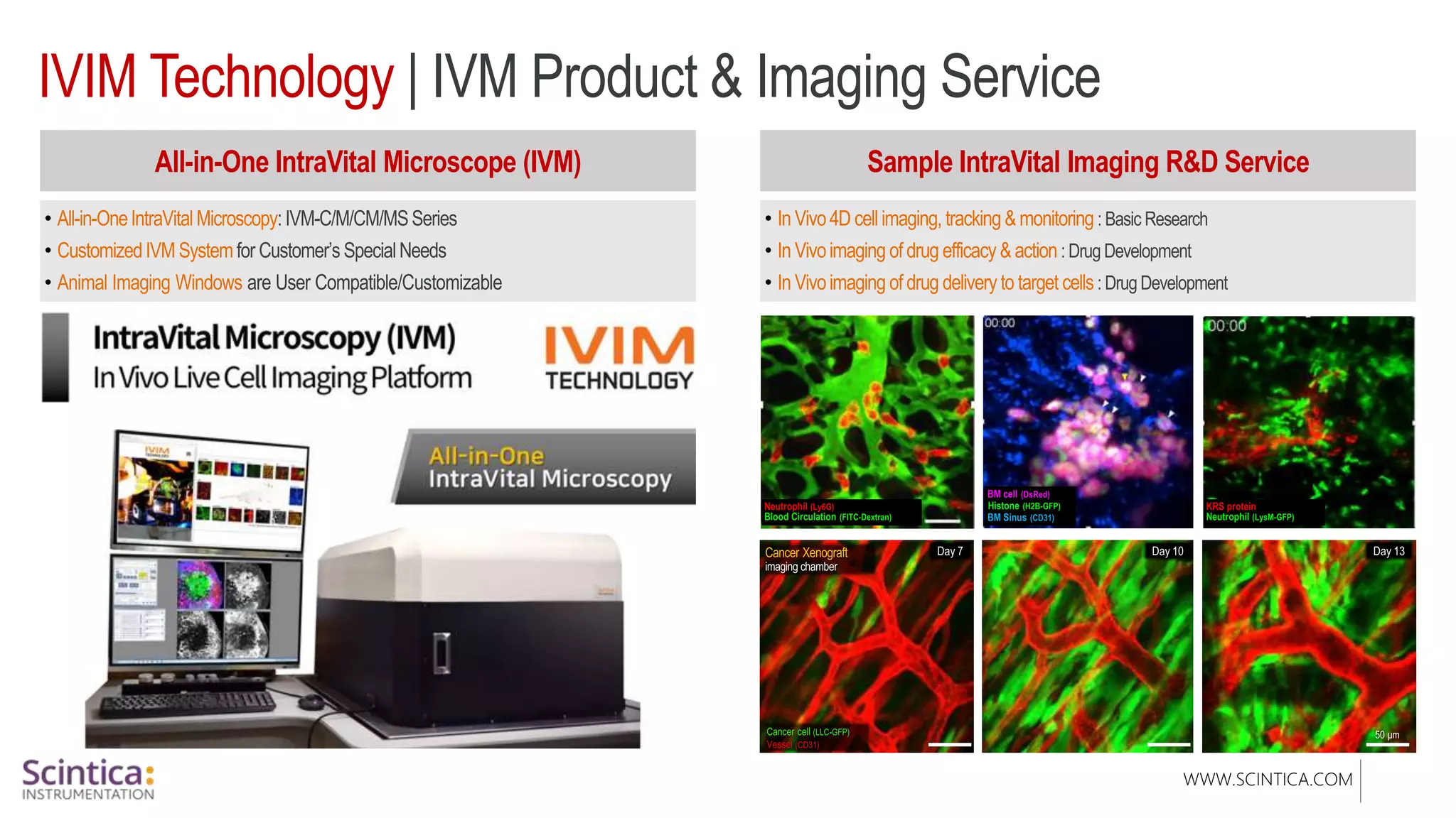 WWW.SCINTICA.COM
IVIM Technology | IVM Product & Imaging Service
All-in-One IntraVital Microscope (IVM) Sample IntraVital Imaging R&D Service
BM cell (DsRed)
Histone (H2B-GFP)
BM Sinus (CD31)
KRS protein
Neutrophil (LysM-GFP)
Neutrophil (Ly6G)
Blood Circulation (FITC-Dextran)
 