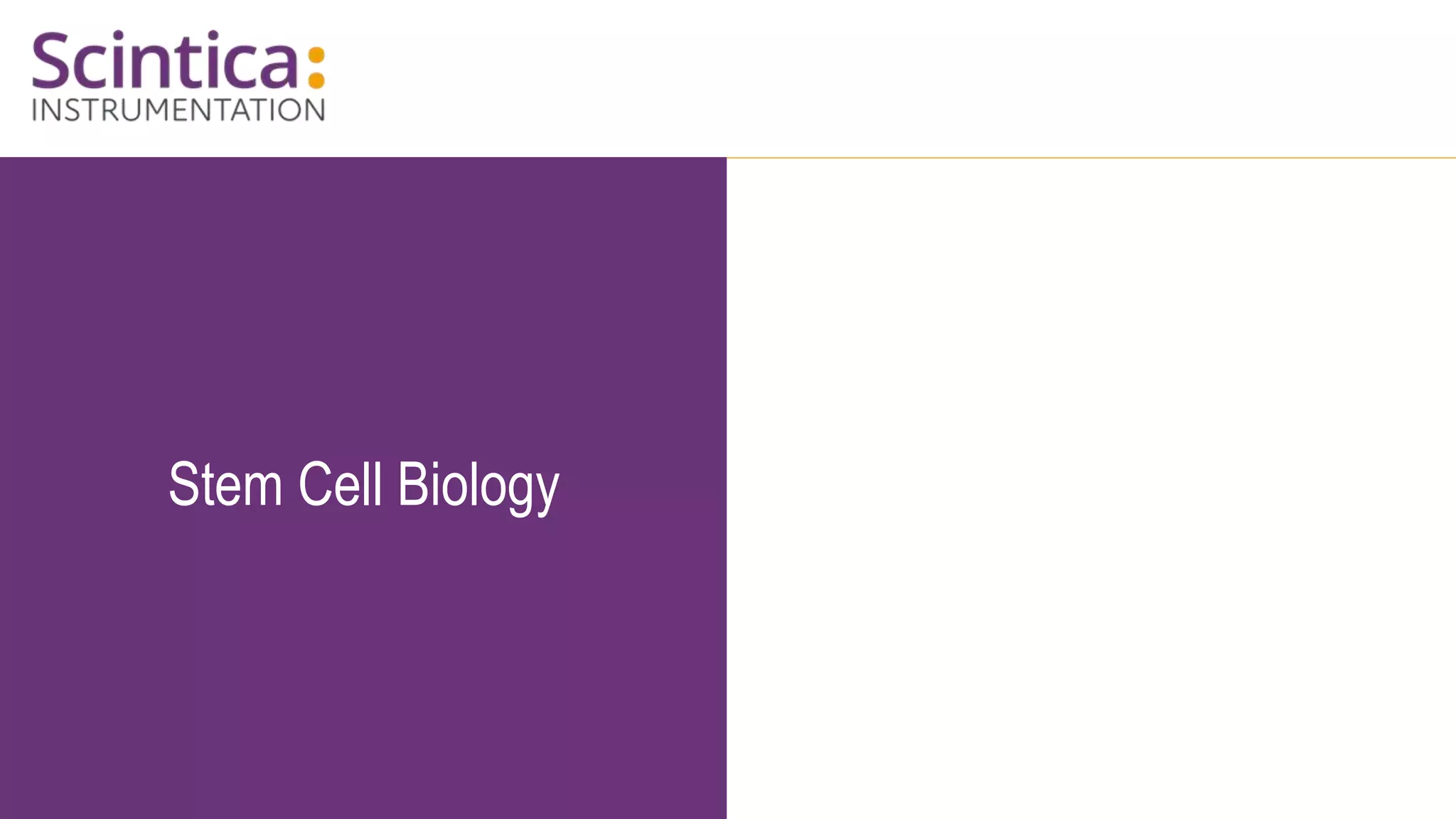 Stem Cell Biology
 
