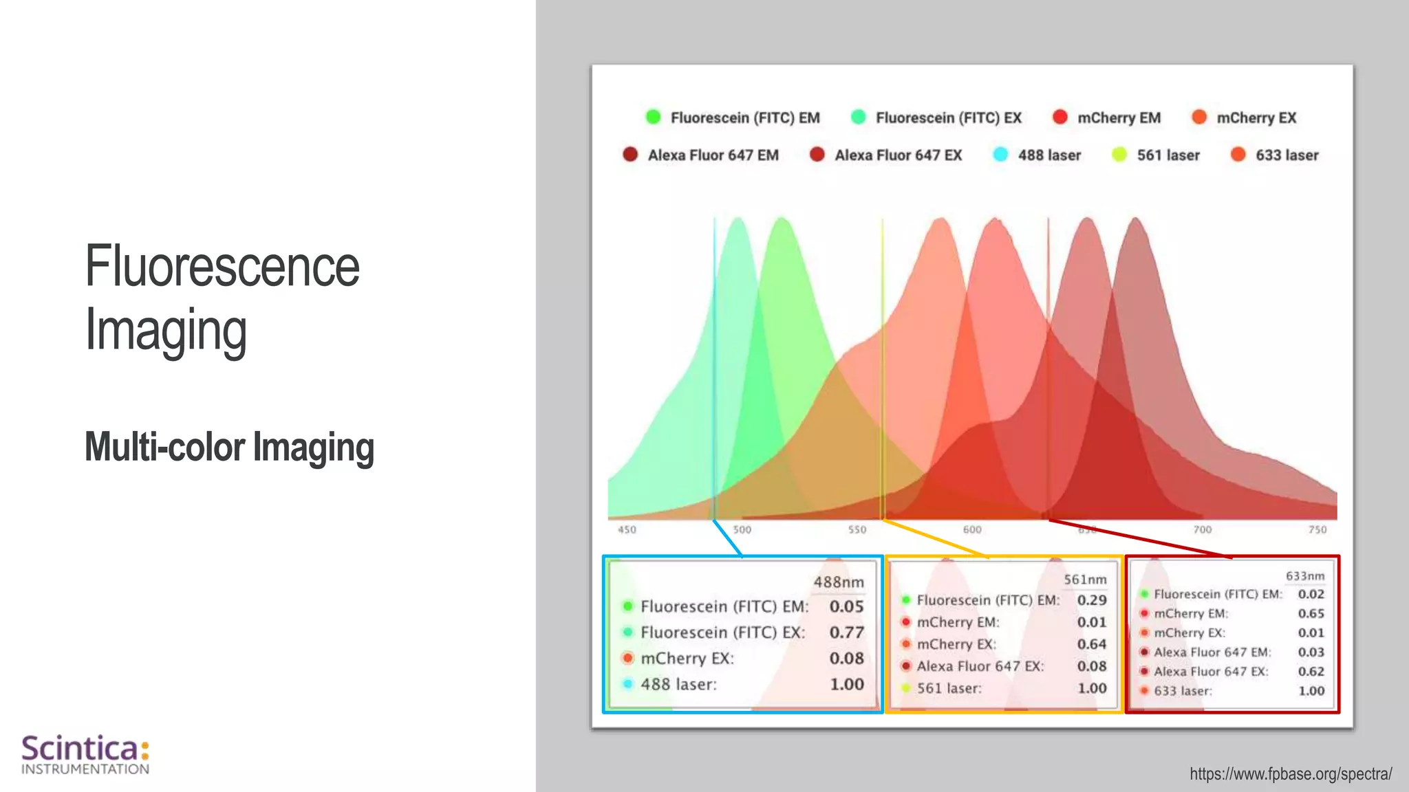 WWW.SCINTICA.COM
https://www.fpbase.org/spectra/
Fluorescence
Imaging
Multi-color Imaging
 