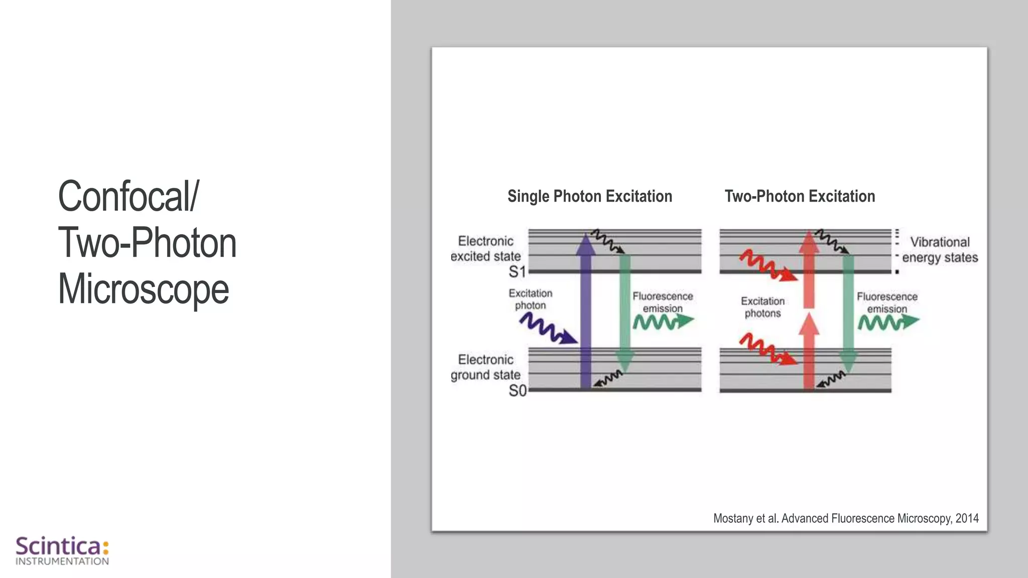 WWW.SCINTICA.COM
Confocal/
Two-Photon
Microscope
Mostany et al. Advanced Fluorescence Microscopy, 2014
Single Photon Excitation Two-Photon Excitation
 