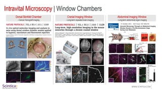 Introducing the IVM Intravital Microscope | PPTX
