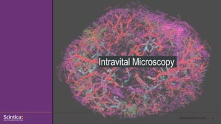 Introducing the IVM Intravital Microscope | PPTX