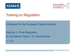 Training on Regulation A Webinar for the European Copper Institute Webinar 3: Price Regulation Dr. Konstantin Petrov / Dr. Daniel Grote 16.11.2009 