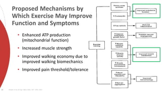 Proposed Mechanisms by
Which Exercise May Improve
Function and Symptoms
10 Stewart et al, N Engl J Med 2002; 347: 1941-1951
• Enhanced ATP production
(mitochondrial function)
• Increased muscle strength
• Improved walking economy due to
improved walking biomechanics
• Improved pain threshold/tolerance
 