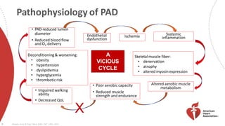 Pathophysiology of PAD
• PAD-reduced lumen
diameter
• Reduced blood flow
and O2 delivery
Endothelial
dysfunction
Ischemia Systemic
inflammation
Skeletal muscle fiber:
• denervation
• atrophy
• altered myosin expression
Altered aerobic muscle
metabolism
• Poor aerobic capacity
• Reduced muscle
strength and endurance
• Impaired walking
ability
• Decreased QoL
Deconditioning& worsening:
• obesity
• hypertension
• dyslipidemia
• hyperglycemia
• thrombotic risk
A
VICIOUS
CYCLE
X
9 Stewart et al, N Engl J Med 2002; 347: 1941-1951
 