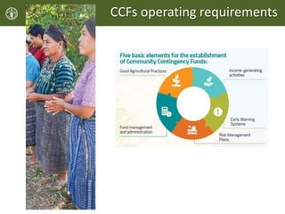 CCFs operating requirements
 