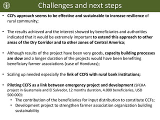 Challenges and next steps
• CCFs approach seems to be effective and sustainable to increase resilience of
rural community;
• The results achieved and the interest showed by beneficiaries and authorities
indicated that it would be extremely important to extend this approach to other
areas of the Dry Corridor and to other zones of Central America;
• Although results of the project have been very goods, capacity building processes
are slow and a longer duration of the projects would have been benefiting
beneficiary farmer associations (case of Honduras);
• Scaling up needed especially the link of CCFS with rural bank institutions;
• Piloting CCFS as a link between emergency project and development (SFERA
project in Guatemala and El Salvador, 12 months duration, 4.000 beneficiaries, USD
500.000):
• The contribution of the beneficiaries for input distribution to constitute CCFs;
• Development project to strengthen farmer association organization building
sustainability
 
