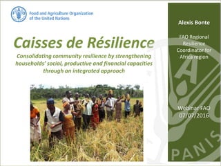 Caisses de Résilience
Consolidating community resilience by strengthening
households’ social, productive and financial capacities
through an integrated approach
Alexis Bonte
FAO Regional
Resilience
Coordinator for
Africa region
Webinar FAO
07/07/2016
 