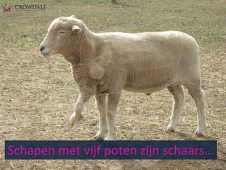 Schapen met vijf poten zijn schaars…
Crowdale.com - Key Account Management (KAM201401-4)

 