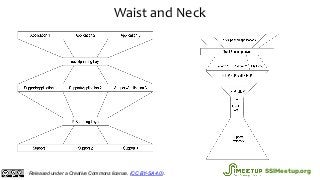 Waist and Neck
Released under a Creative Commons license. (CC BY-SA 4.0). SSIMeetup.org
 