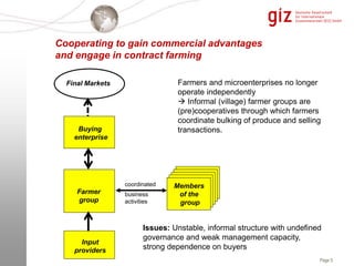 Cffg Farmer-based Organizations and How to Promote Them | PDF