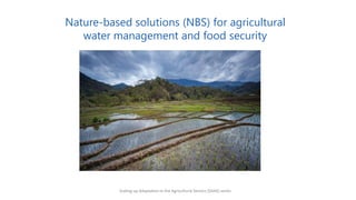 Nature-based solutions (NBS) for agricultural
water management and food security
Scaling-up Adaptation in the Agricultural Sectors (SAAS) series
 