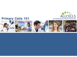 Your Reliable Source of Human Primary CellsPrimary Cells 101
 
