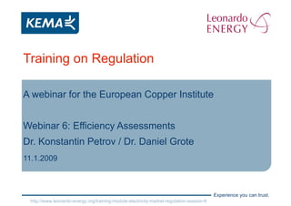 Training on Regulation A webinar for the European Copper Institute Webinar 6: Efficiency Assessments Dr. Konstantin Petrov / Dr. Daniel Grote 11.1.2009 