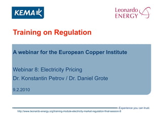 Training on Regulation A webinar for the European Copper Institute Webinar 8: Electricity Pricing Dr. Konstantin Petrov / Dr. Daniel Grote 9.2.2010 