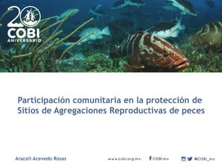Participación comunitaria en la protección de
Sitios de Agregaciones Reproductivas de peces
Araceli Acevedo Rosas
 