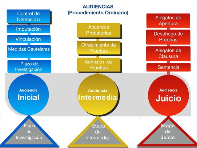 Audiencia Inicial en el Sistema Penal Acusatorio
