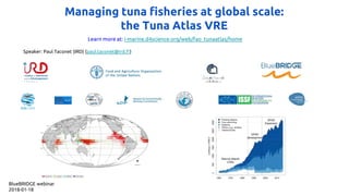 Managing tuna fisheries at global scale:
the Tuna Atlas VRE
Learn more at: i-marine.d4science.org/web/fao_tunaatlas/home
Speaker: Paul Taconet (IRD) (paul.taconet@ird.fr)
BlueBRIDGE webinar
2018-01-18
 