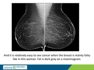 And it is relatively easy to see cancer when the breast is mainly fatty
like in this woman. Fat is dark gray on a mammogram.
 