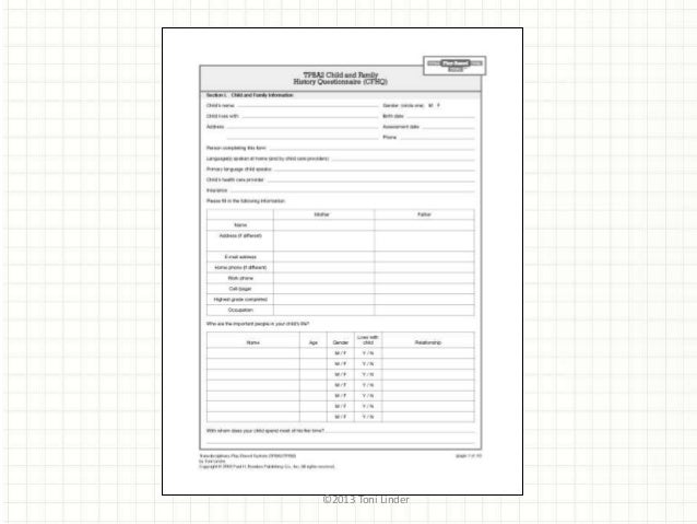 Transdisciplinary play based assessment observation children and young people essay 05 image
