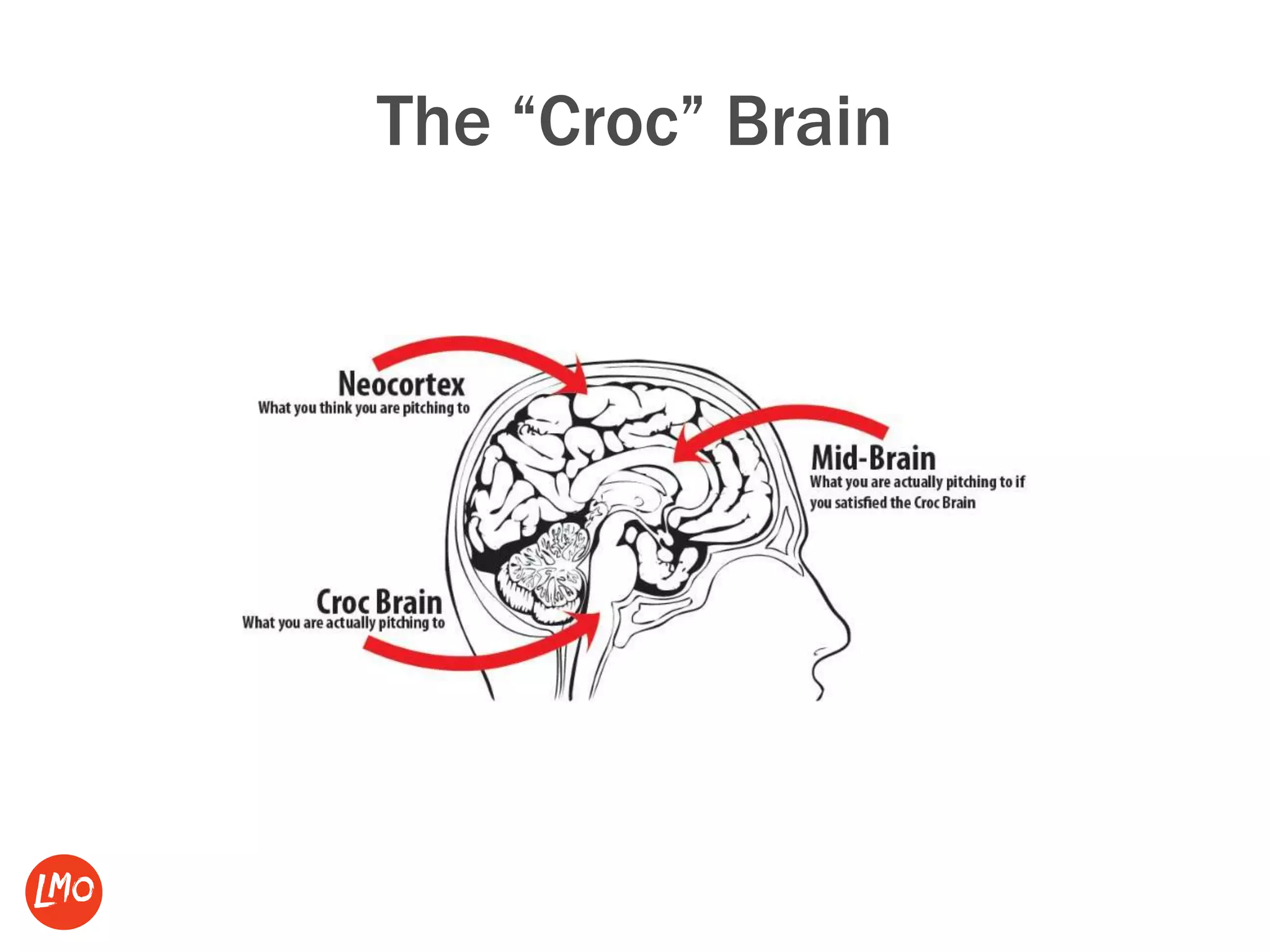 The “Croc” Brain
 