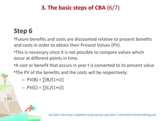 Cost-benefit analysis for climate change adaptation policies in ...