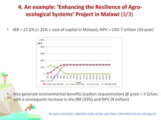 Cost-benefit analysis for climate change adaptation policies in ...