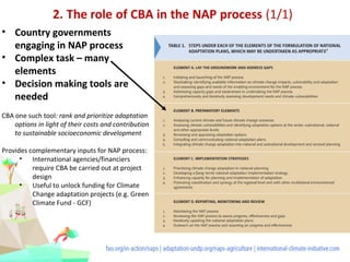 Cost-benefit analysis for climate change adaptation policies in ...