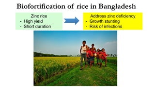 Can micronutrient training create women’s demand for high-zinc rice? The case of Bangladesh